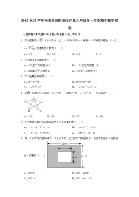 河南省南阳市内乡县华师大版2022-2023学年八年级（上）期中数学试卷(解析版)