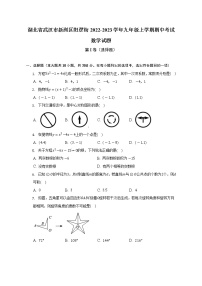 湖北省武汉市新洲区阳逻街2022-2023学年九年级上学期期中考试数学试题(解析版)