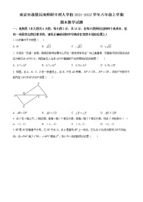 南京市鼓楼区南师附中树人学校2021-2022学年八年级上学期期末数学试题（含解析）