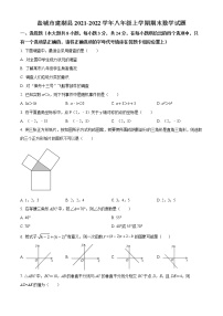 盐城市建湖县2021-2022学年八年级上学期期末数学试题（含解析）