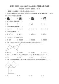 盐城市亭湖区2021-2022学年八年级上学期期末数学试题（含解析）