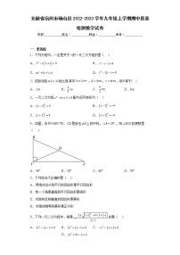 安徽省宿州市砀山县2022-2023学年九年级上学期期中质量检测数学试卷(含答案)