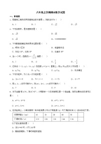 广东省河源市紫金县2022年八年级上学期期末数学试题及答案