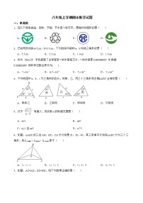 广东省汕头市潮南区2022年八年级上学期期末数学试题及答案