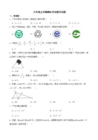 广东省汕头市龙湖区2022年八年级上学期期末考试数学试题及答案