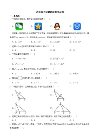 广东省韶关市2022年八年级上学期期末数学试题及答案