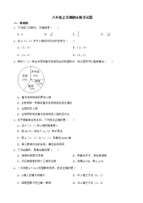 广东省深圳市南山区2022年八年级上学期期末数学试题及答案