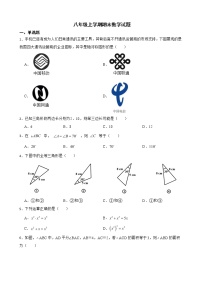 广东省肇庆市封开县2022年八年级上学期期末数学试题及答案