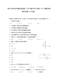 2021-2022学年湖北省武汉二中广雅中学七年级（下）课堂作业数学试卷（5月份）（含解析）