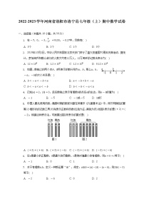 2022-2023学年河南省洛阳市洛宁县七年级（上）期中数学试卷（含解析）