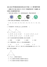 湖北省武汉市洪山区2022-2023学年八年级上学期期中质量检测数学试卷(含答案)