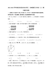 湖北省武汉市江岸区、东西湖区2022-2023学年九年级上学期期中数学试卷(含答案)