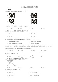 广东省东莞市2022年八年级上学期期末数学试题及答案