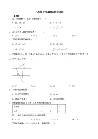 广东省佛山市南海区2022年八年级上学期期末数学试卷及答案