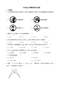 广东省广州市天河区2022年八年级上学期期末数学试题及答案