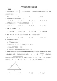 广东省揭阳市揭东区2022年八年级上学期期末数学试题及答案