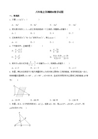 广东省汕头市澄海区2022年八年级上学期期末数学试题及答案