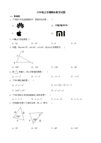 广东省云浮市郁南县2022年八年级上学期期末数学试题及答案