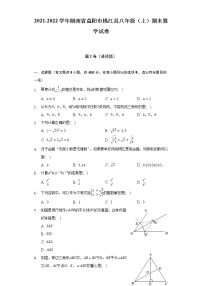 2021-2022学年湖南省益阳市桃江县八年级（上）期末数学试卷（含解析）