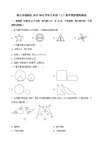 河南省商丘市梁园区2022-2023学年九年级（上）数学期末模拟测试(解析版)