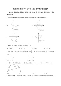 河南省睢县2022-2023学年九年级（上）数学期末模拟测试(解析版)