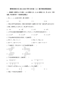 河北省邯郸市肥乡区2022-2023学年七年级(上)数学期末模拟测试(解析版)
