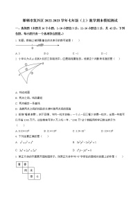 河北省邯郸市复兴区2022-2023学年七年级（上）数学期末模拟测试(解析版)