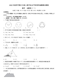 2022年秋季学期八年级上册学业水平阶段性抽测期末模拟数学  试题卷（一）