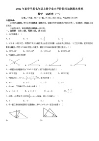 2022年秋季学期七年级上册学业水平阶段性抽测期末模拟数学  试题卷（一）