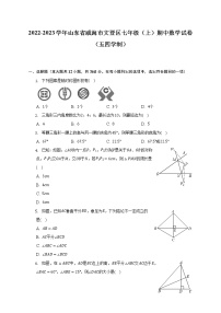 山东省威海市文登区2022-2023学年七年级上学期（五四学制）期中考试数学试卷(解析版)