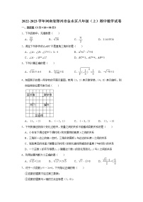 河南省郑州市金水区2022-2023学年八年级上学期期中数学试卷 (含答案)