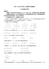 湖北省孝感市汉川市2022-2023学年九年级上学期期中质量测评数学试题(含答案)