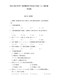 2021-2022学年广东省梅州市平远县八年级（上）期末数学试卷（含解析）