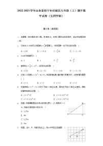 2022-2023学年山东省济宁市任城区九年级（上）期中数学试卷（五四学制）（含解析）