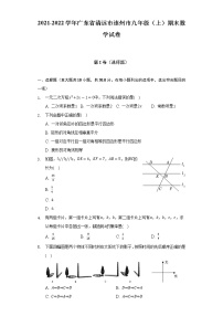 2021-2022学年广东省清远市连州市九年级（上）期末数学试卷（含解析）