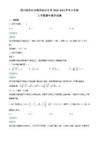 四川省内江市隆昌知行中学2020-2021学年八年级上学期期中数学试题(含答案)