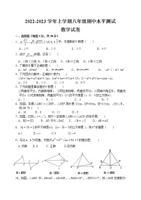 福建省泉州市第七中学2022—2023学年八年级上学期数学期中考试卷(含答案)