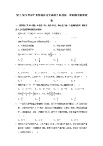 广东省梅州市大埔县2022-2023学年九年级上学期期中数学试卷(含答案)