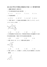 辽宁省鞍山市岫岩县2022-2023学年八年级上学期期中数学试卷(含答案)