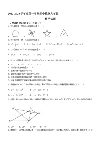 山东省德州市德城区2022-2023学年九年级上学期期中数学试题(含答案)