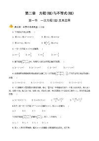 2023年中考数学一轮复习 方程与不等式(组)专题《第一节 一次方程(组)及其应用》专练(通用版)