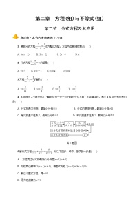 2023年中考数学一轮复习 方程与不等式（组）专题《第二节   分式方程及其应用》专练（通用版）