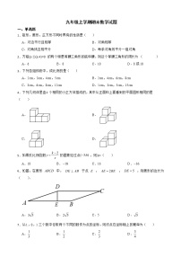 安徽省宿州市萧县2022年九年级上学期期末数学试题及答案