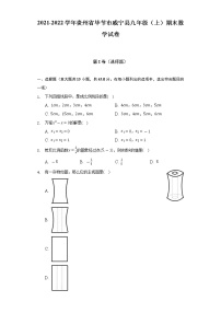 2021-2022学年贵州省毕节市威宁县九年级（上）期末数学试卷（含解析）