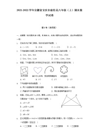 2021-2022学年安徽省安庆市宿松县八年级（上）期末数学试卷（含解析）