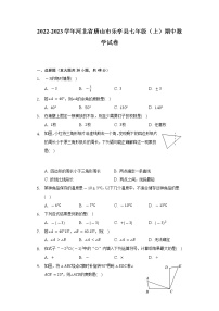 2022-2023学年河北省唐山市乐亭县七年级（上）期中数学试卷（含解析）