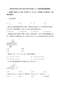 湖北省宜昌市点军区2022-2023学年七年级（上）数学期末模拟测试(解析版)