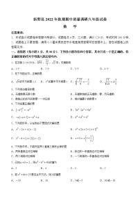 河南省南阳市新野县2022-2023学年八年级上学期期中数学试题(含答案)