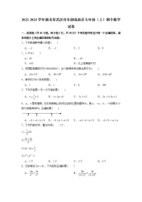 湖北省武汉市东湖高新区2022-2023学年七年级上学期期中数学试卷