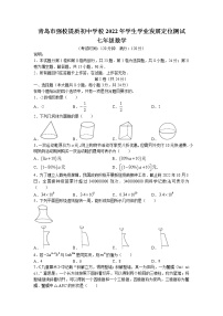 山东省青岛市2022-2023学年七年级上学期期中数学试题